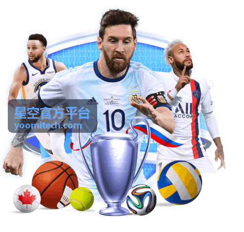 星空官方平台 - 2018世界杯法国队队徽：经典雄鸡与荣耀之星的设计解析